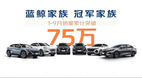 讓人放心的 大塊頭 ,比探岳大一圈,搭 冠軍動力 頂配13萬多