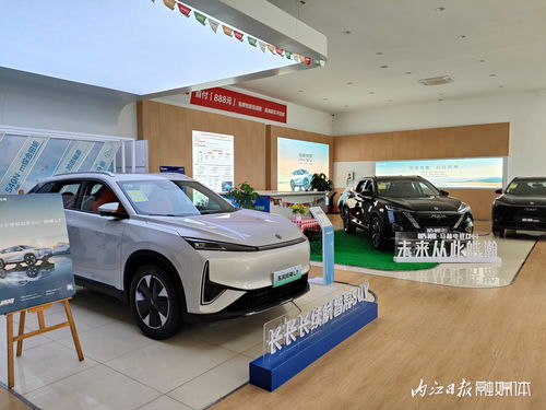 內(nèi)江第三十五屆汽車文化周│內(nèi)江車易通汽車銷售服務(wù) 長長長續(xù)航智混suv 等你來體驗(yàn)